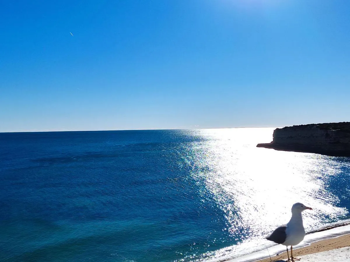 Apartamento 01 Sra Da Rocha Com Piscina E Ac - Casas & Papeis Armação de Pêra 0*,  Portugal